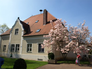 Kindergarten